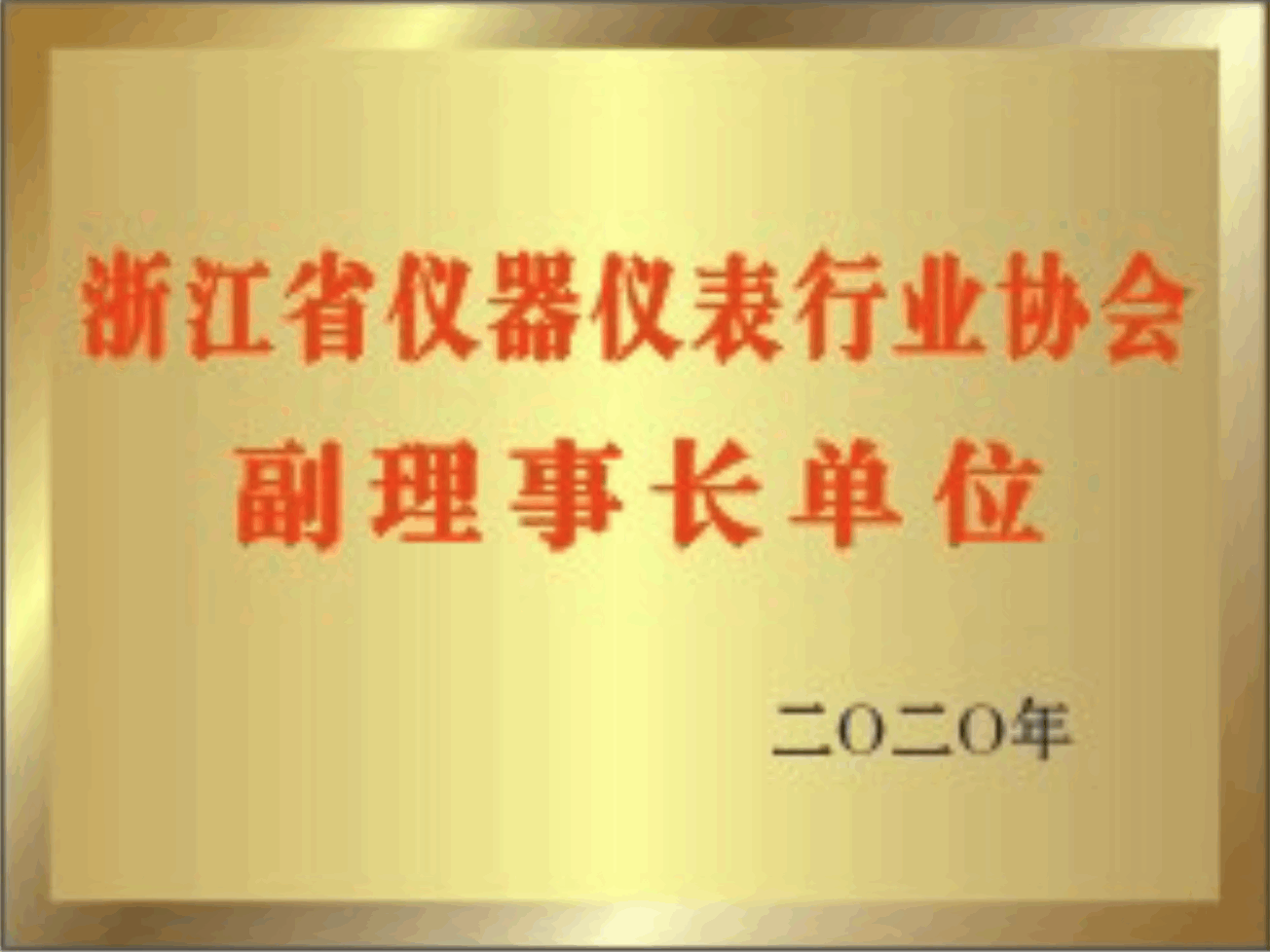 浙江省儀器儀表</br>行業(yè)協(xié)會(huì)副理事長(zhǎng)單位